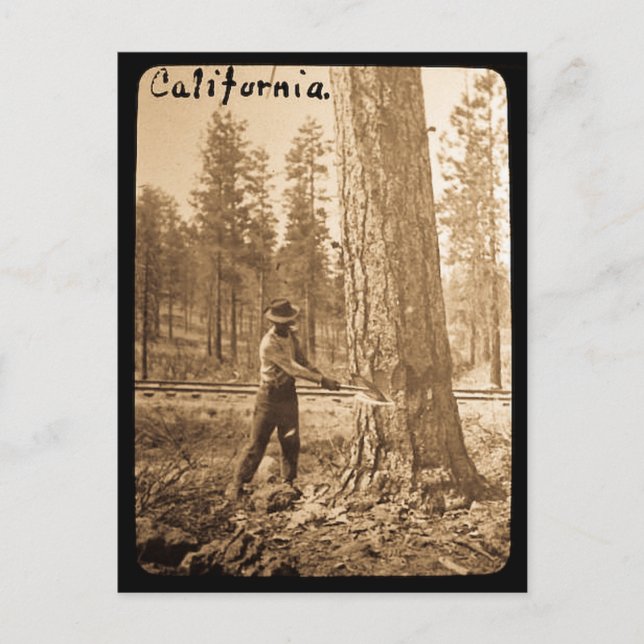 Carte Postale Exploitation de la lanterne magique dans la vallée (Devant)