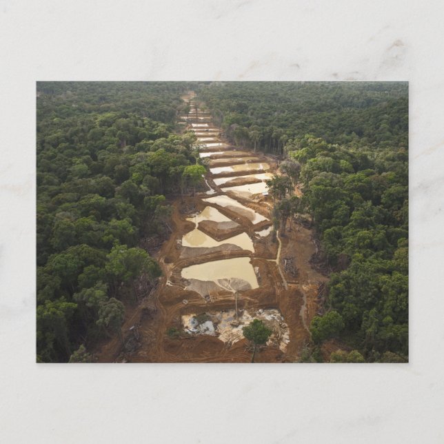 Carte Postale Exploitation de l'or alluvial. Forêt tropicale, Gu (Devant)