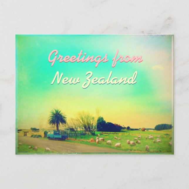 Carte Postale Exploitation ovine en Nouvelle-Zélande (Devant)