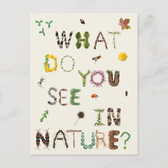 Carte Postale Explorateurs Naturalistes Enfants (Devant)