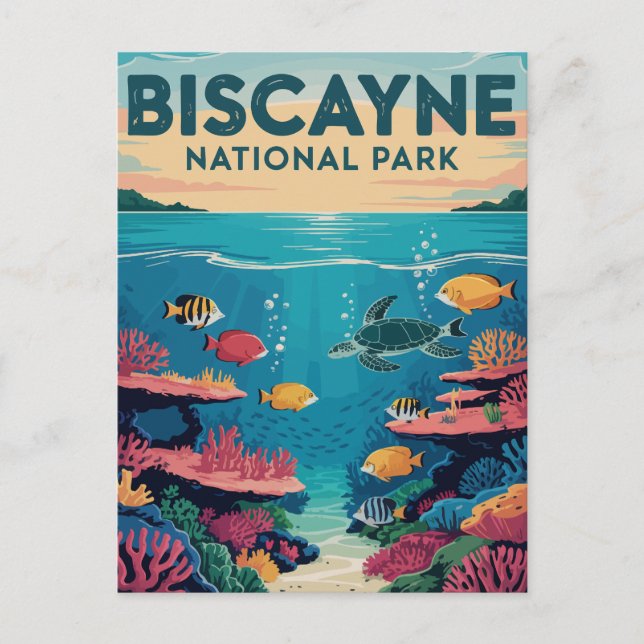 Carte Postale Explorez le parc national Biscayne Floride Waters (Devant)