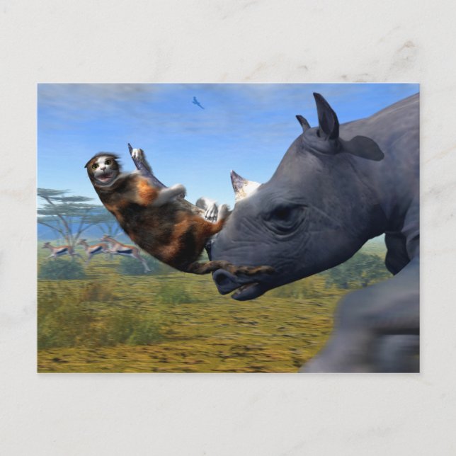 Carte Postale Express du Kalahari (Devant)