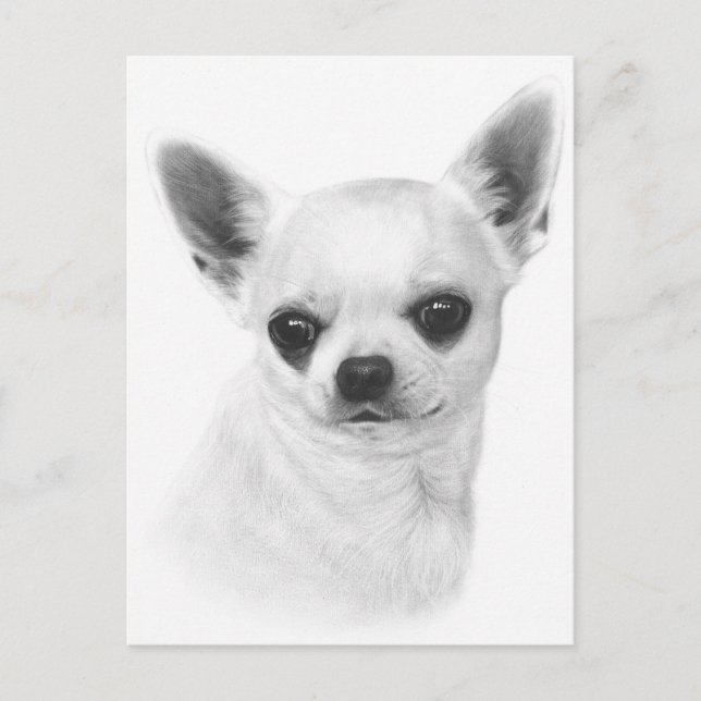 Carte Postale Expression Chihuahua Peinte à la main (Devant)