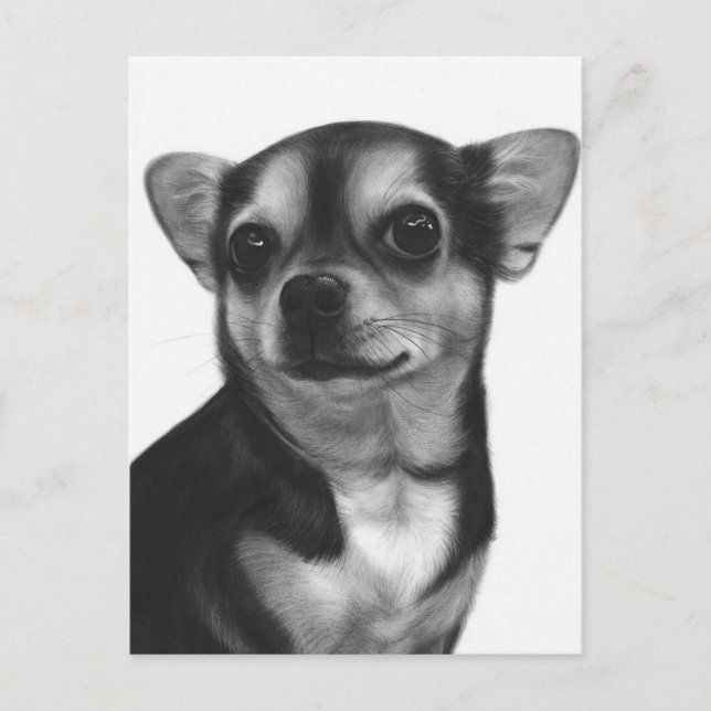 Carte Postale Expression Chihuahua Peinte à la main originale (Devant)
