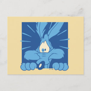 Carte Postale Expression de choc de BÉBÉE COYOTE™