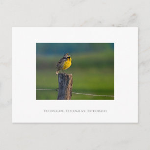 Carte Postale Externaliser, Externaliser, Externaliser