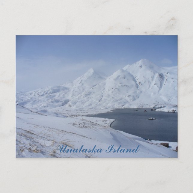 Carte Postale extrémité sud de la baie Captain, île Unalaska (Devant)