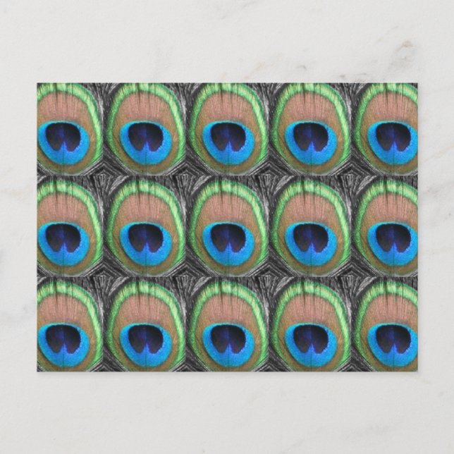 Carte Postale Eyes Peacock (Devant)