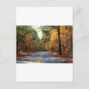 CARTE POSTALE F.D. ROOSEVELT STATE PARK - PINE MOUNTAIN, GÉORGIE