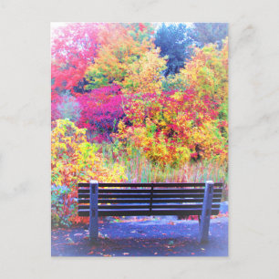 Carte Postale Fabulous Fall Colours Bench Automne Feuilles Pitto