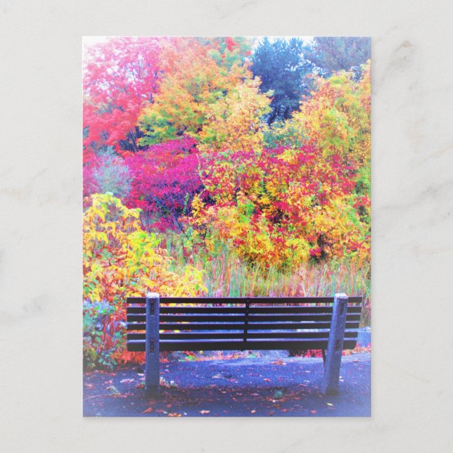 Carte Postale Fabulous Fall Colours Bench Automne Feuilles Pitto (Devant)