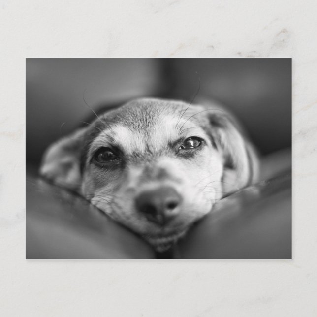 Carte Postale Face à face (Devant)