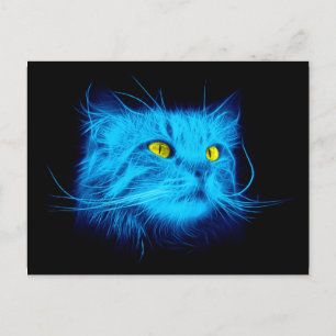 Carte Postale Face de chat bleu