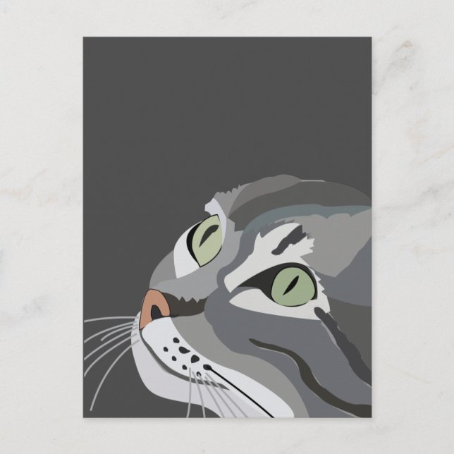 Carte Postale Face de chat gris (Devant)