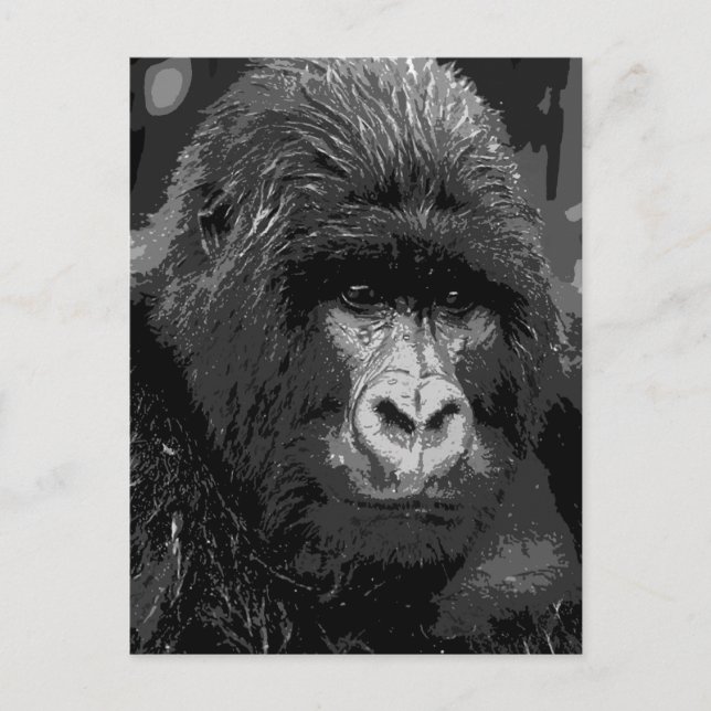 Carte Postale Face de Gorilla BW (Devant)