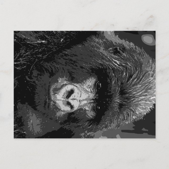Carte Postale Face de Gorilla BW (Devant)