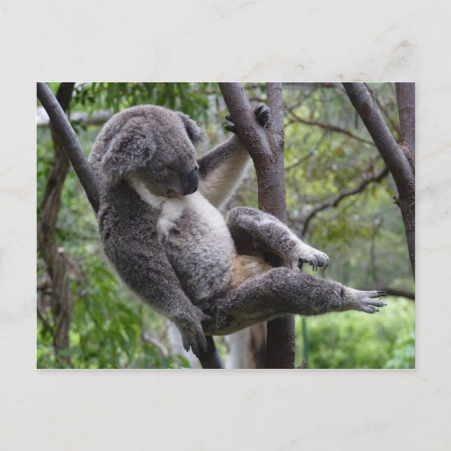 Carte Postale facile ! (Devant)