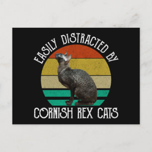 Carte Postale Facilement Distrait Par Les Chats Cornish Rex