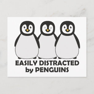 Carte Postale Facilement distrait par les pingouins