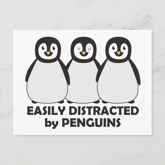 Carte Postale Facilement distrait par les pingouins (Devant)