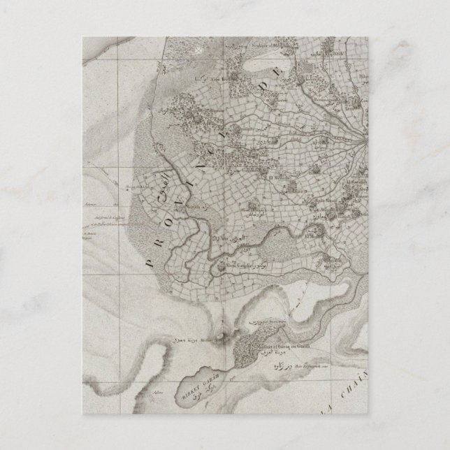 Carte Postale Faioum, Egypte (Devant)