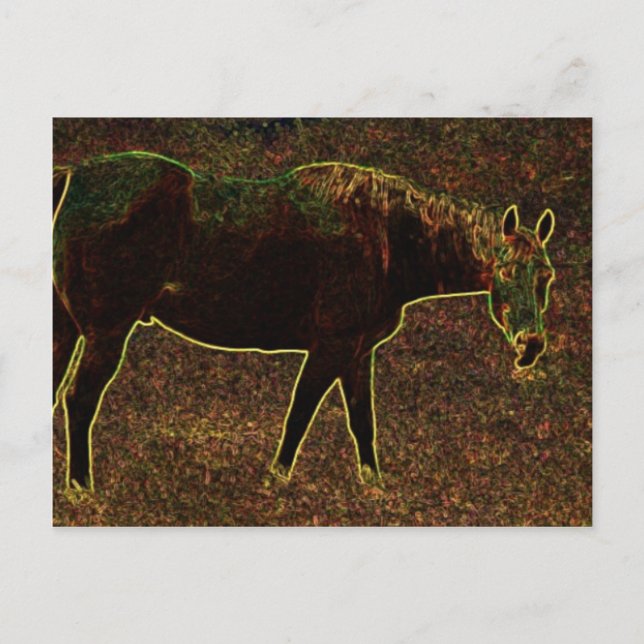 Carte Postale Faire du cheval autour (Devant)