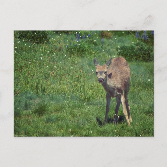 Carte Postale Faire face (Devant)