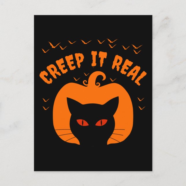 CARTE POSTALE FAIRE LE FOU DRÔLE CHAT HALLOWEEN (Devant)