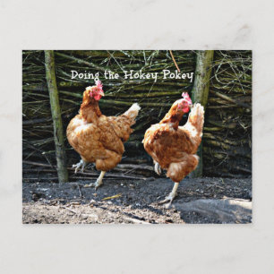 Carte Postale Faire le singe, les poulets de singe