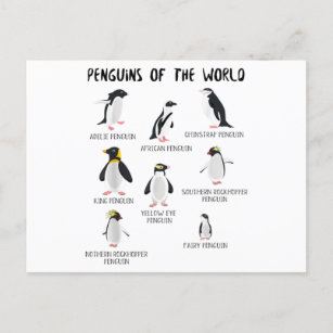 Carte Postale Faire-part 8 Rares pingouins du monde - Animaux amusants