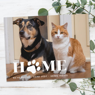 Carte Postale Faire-part Accueil Photo d'animaux domestiques modernes Nous