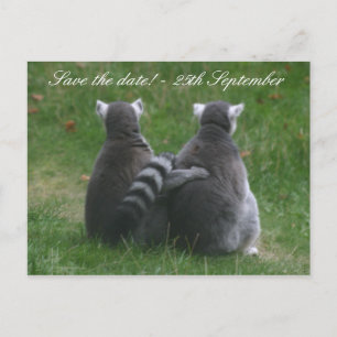 Carte Postale Faire-part Amour de lémurien ! ... Sauvegardez la date !
