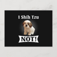 Amour de Shih Tzu Mignon Drôle de Shih Tzu