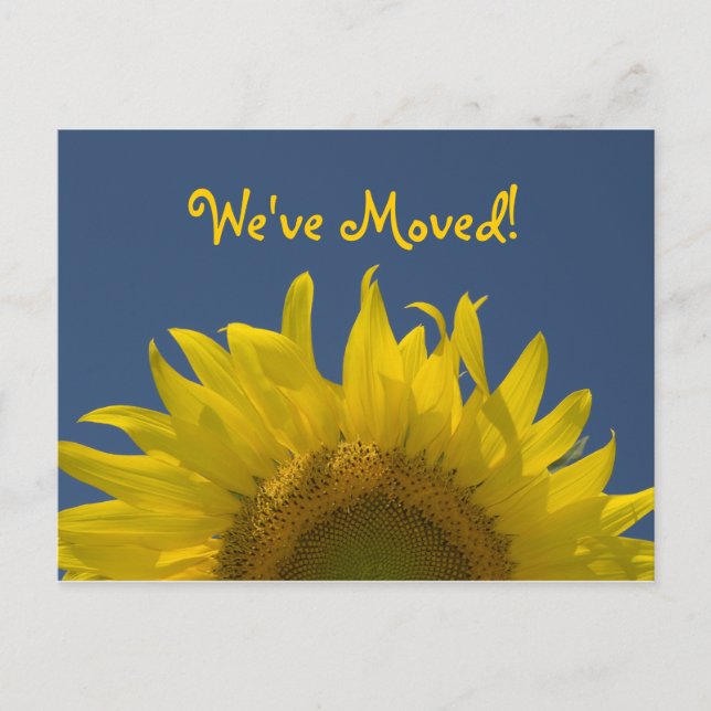 Carte Postale Faire-part Annonce de changement d'adresse Sunflower Rising (Devant)