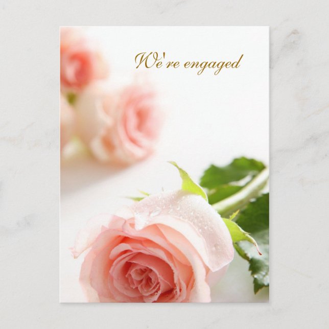 Carte Postale Faire-part Annonce de fiançailles rose rose blanc (Devant)