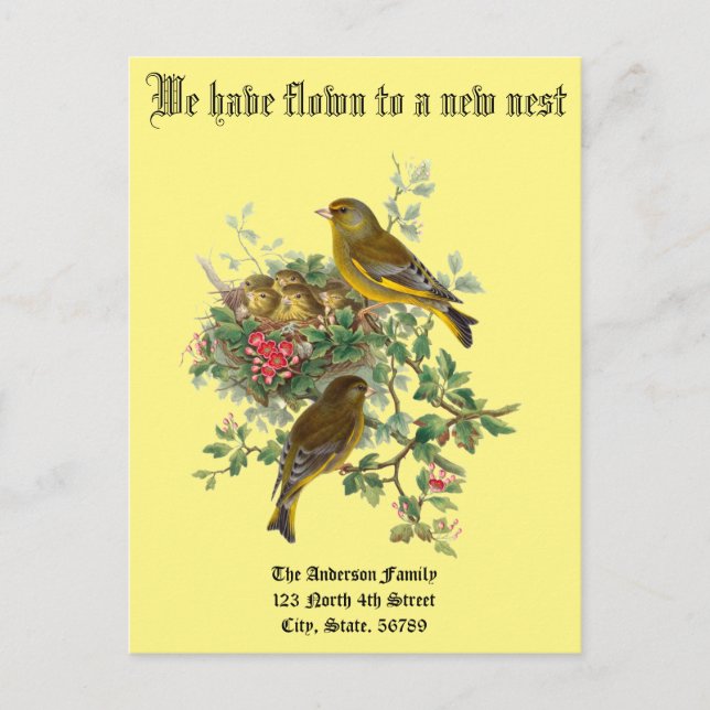 Carte Postale Faire-part Annonce de nouvelle maison de nid de bébés oiseaux (Devant)