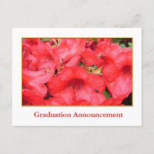 Carte Postale Faire-part Annonce de remise de diplôme avec fleurs d'azalée