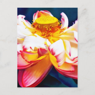 Carte Postale Faire-part Aquarelle de fleurs de lotus rose Zen