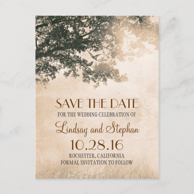 Carte Postale Faire-part arbre et oiseaux de l'amour rustique vintage save  (Devant)