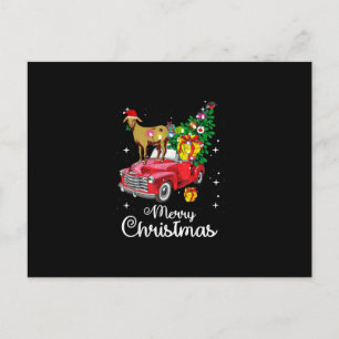 Carte Postale Faire-part Balades de chèvre Rouge Voiture Noël
