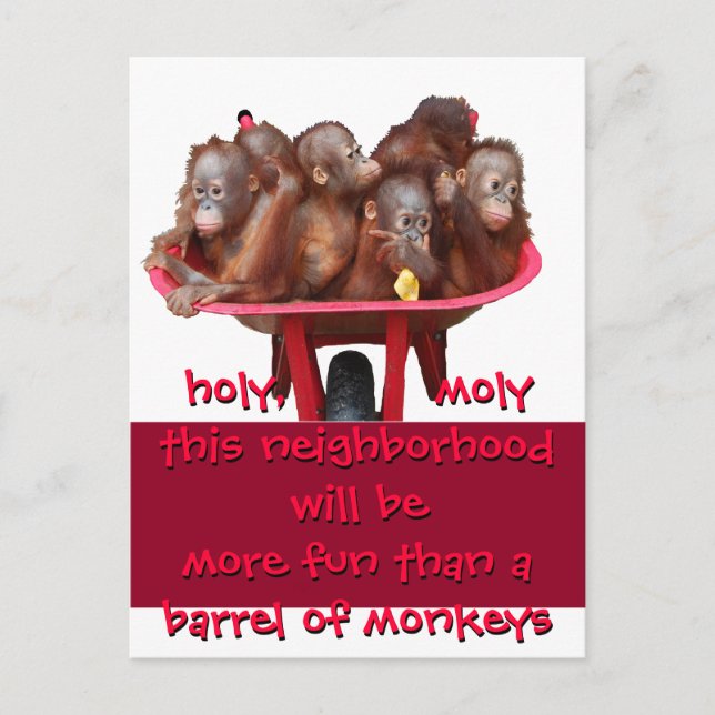 Carte Postale Faire-part Baril des singes Amusants Déplacement Changement (Devant)