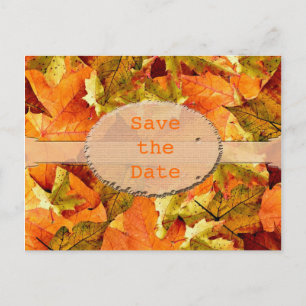 Carte Postale Faire-part Beaux feuilles couleur automne enregistrer la cart