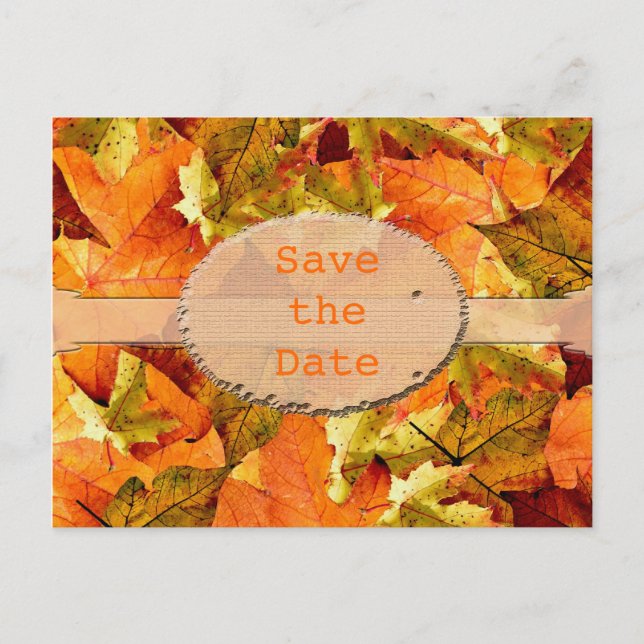 Carte Postale Faire-part Beaux feuilles couleur automne enregistrer la cart (Devant)