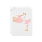 Belle chatte rose, c’est une fille !