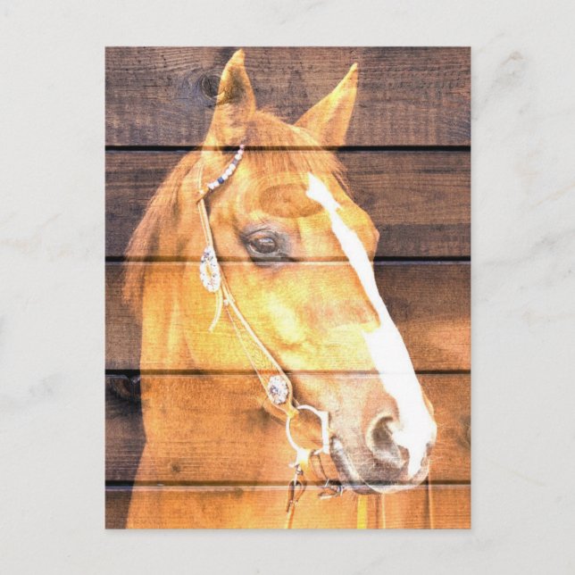 Carte Postale Faire-part Belle Planche de Grange Rustique de Cheval (Devant)
