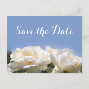 Carte Postale Faire-part belle rose blanche fleurs sauver la date