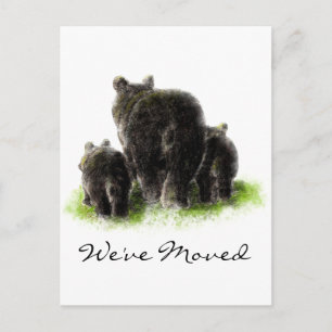 Carte Postale Faire-part Black Bear Famille Animal Nature Adresse Nouveau A