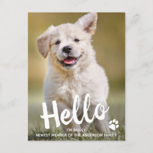 Carte Postale Faire-part Bonjour Nouveau animal de compagnie Chien Chien Ch