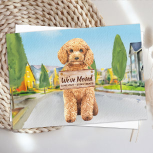 Carte Postale Faire-part Caniche Nous avons déménagé Nouvelle Adresse Chien