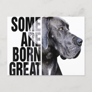 Carte Postale Faire-part Certains Sont Nés À Great Dane Lover Amoureux des